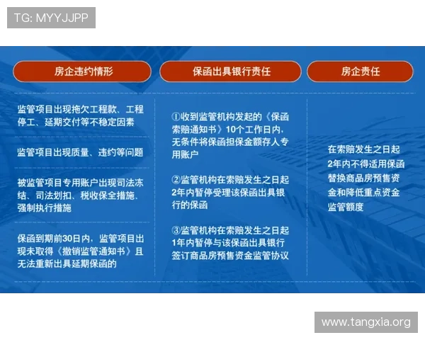 吉祥体育坊官网的支付方式多样化及资金安全保障措施分析