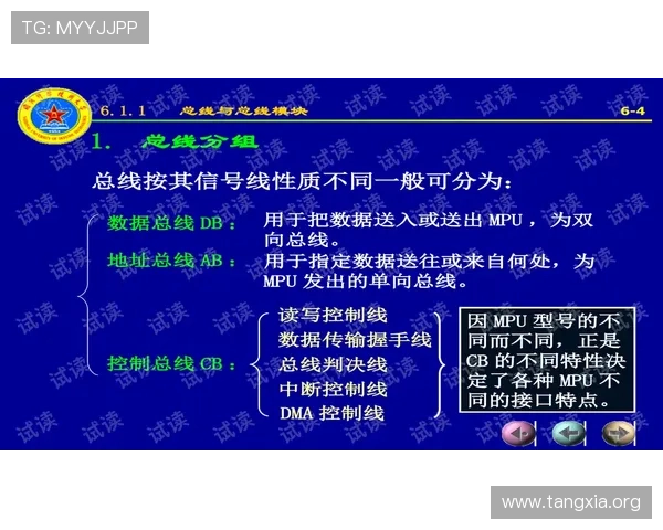 吉祥体育直播平台的会员制度与积分奖励机制详解