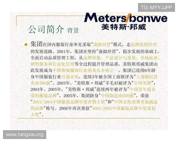 吉祥集团有限公司在网络游戏行业的最新发展与未来战略分析