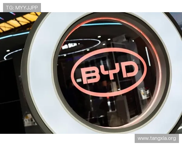 FB体育网页的用户指南：注册、登录、订阅赛事通知，让你不错过每一场精彩比赛