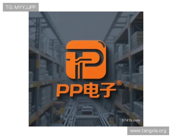 PP电子游戏入口官方平台最新入口地址及安全登录方法详解