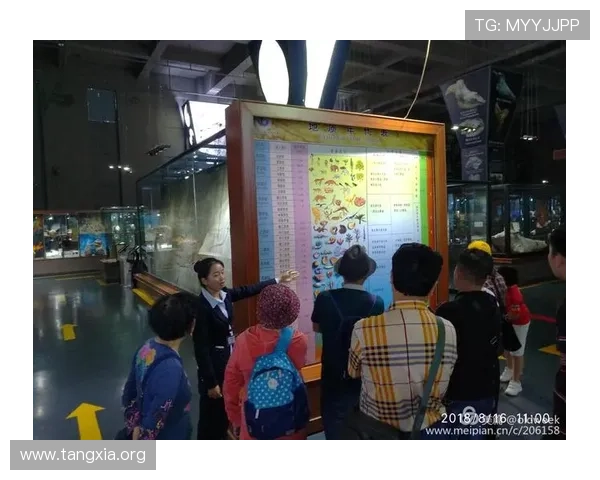 一分快三走势图表下载与使用指南让你轻松掌握走势图的核心技巧