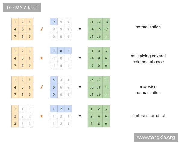 二八杠大小顺序图片详细教程让新手快速掌握二八杠牌面大小排序的核心技巧