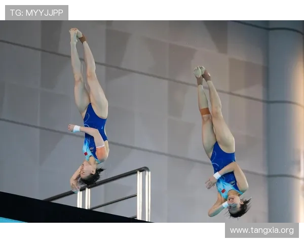 体育迷必看B体育官方入口全面指南助你轻松畅玩体育赛事直播与竞猜体验