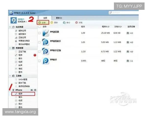 全面解析PP官方下载流程及常见问题解决方案推荐给新手玩家